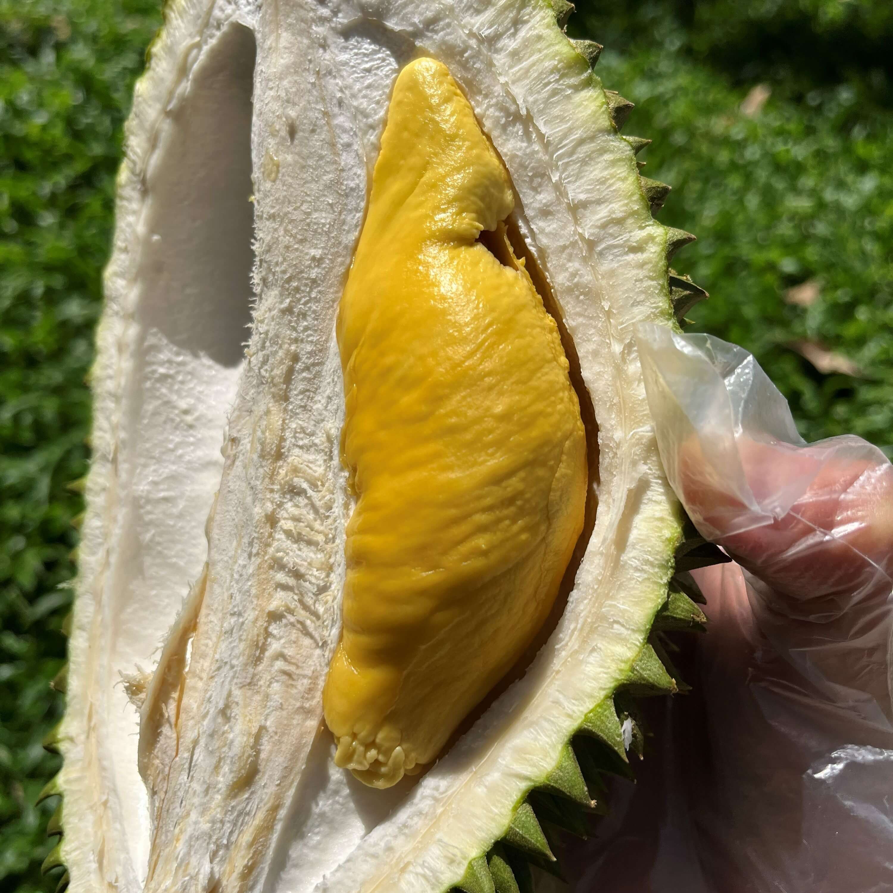 Sầu riêng dẻo quyện